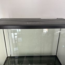 37 Gallon Fish Tank, Tank Stand, And More