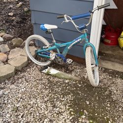 Bike W Flat Tires Needs Tlc