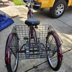 A Schwinn marathon trike