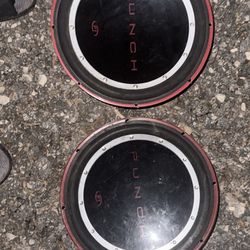 Rockfosgate Punch P1 12s