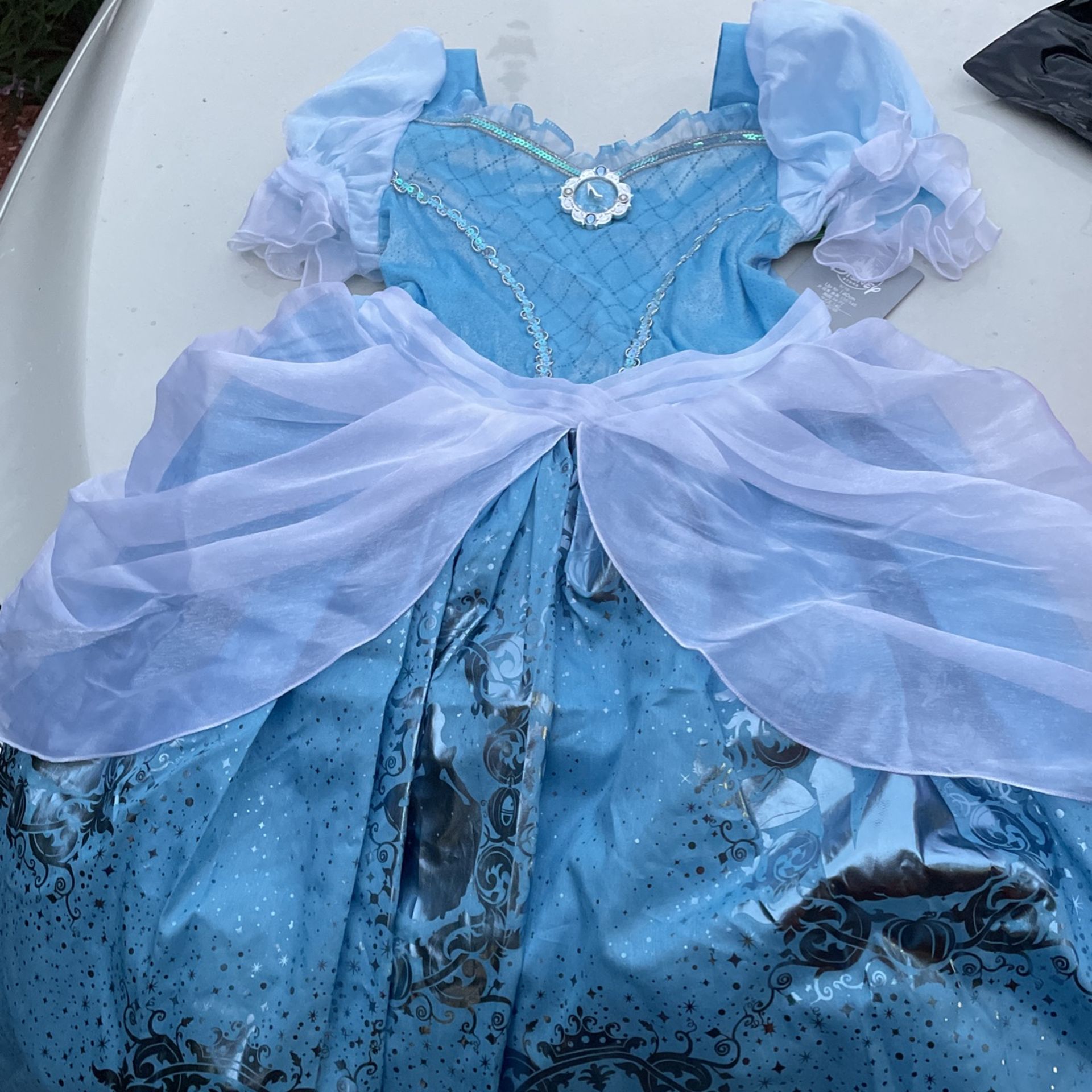 Disney Cinderella Costume With Wigs And 9/10