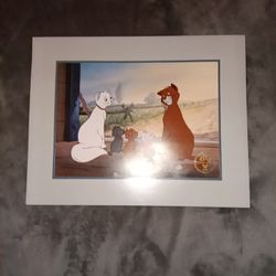 Disney Picture