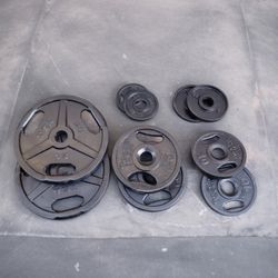 175lbs Olympic Weights 