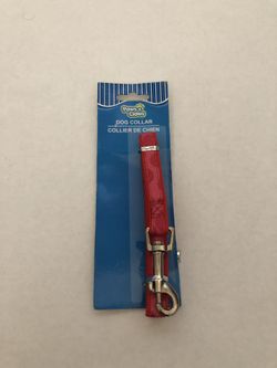 Dog Collar