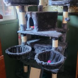 Cats Tower