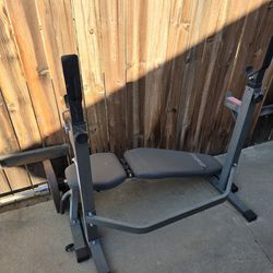 Weight Bench and Curl Bar Set