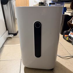Moving Sale Dehumidifier/heather/ Air Purifier 