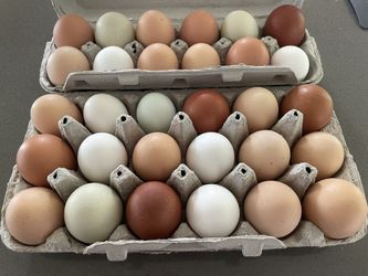 Farm Fresh Eggs