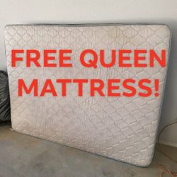 FREE! Just Take 5 Regular Trash Bags With You.