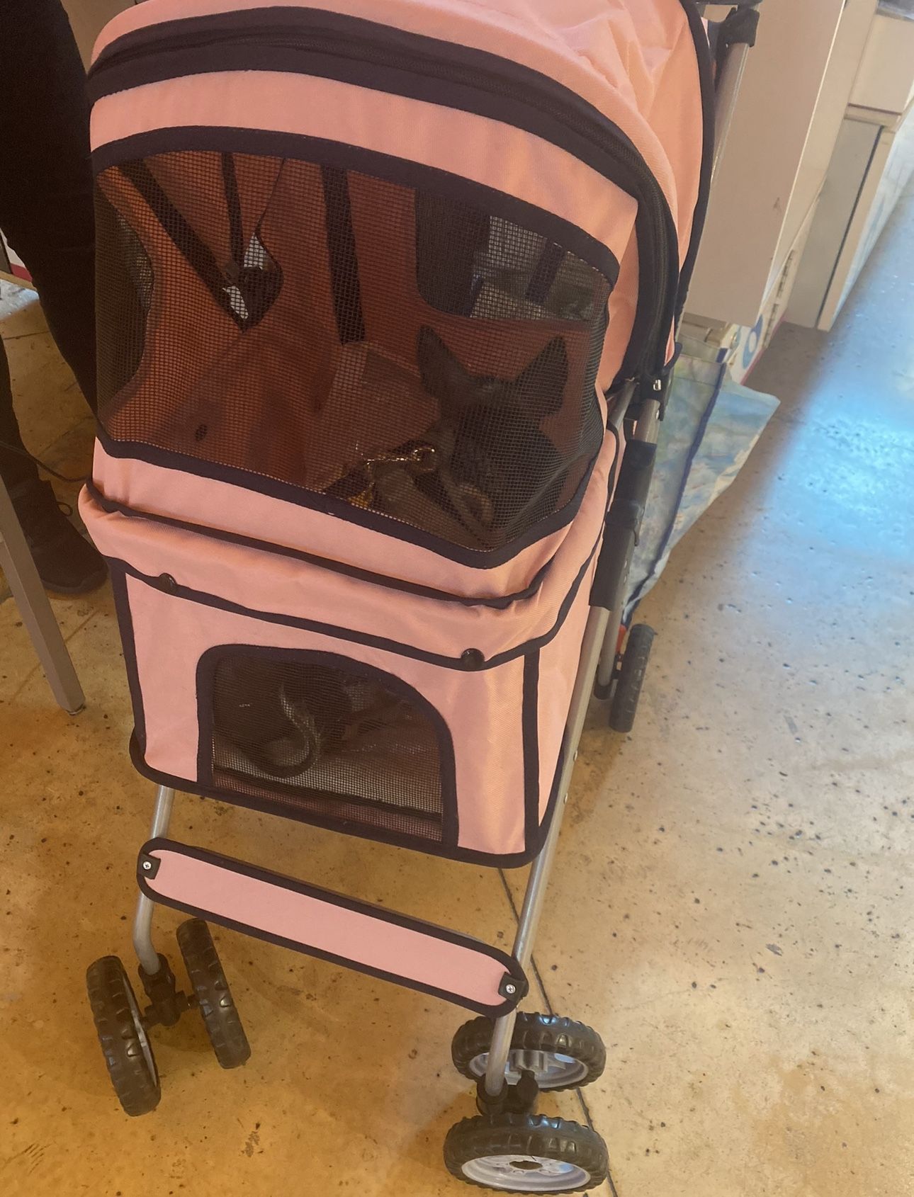 Dog Stroller