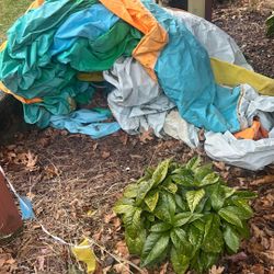 Kids Inflatable Water Slide 