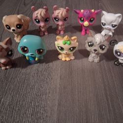 Littlest Pet Shop Gen 6 