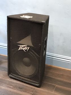 $199 Peavey stand alone speaker