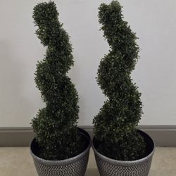 *** REDUCED *** PAIR of 38" Faux Boxwood Spirals in 12" (Diameter) Gray Planters @ Lasting Creations