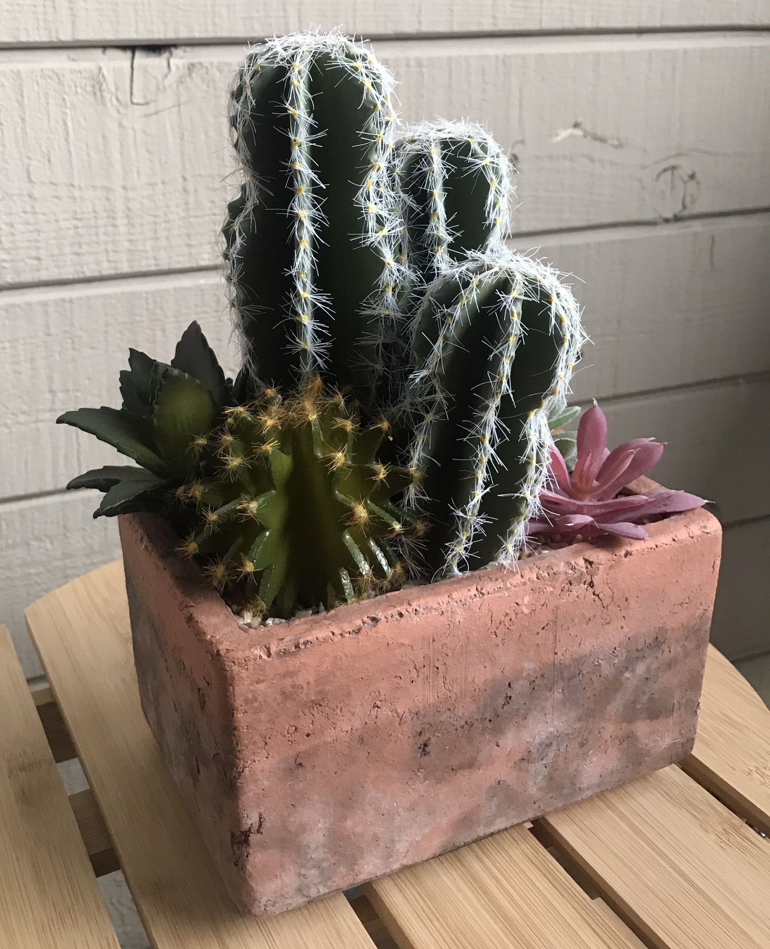 World Market - Faux Mixed Cactus And Succulent Plant Arrangement In Pot