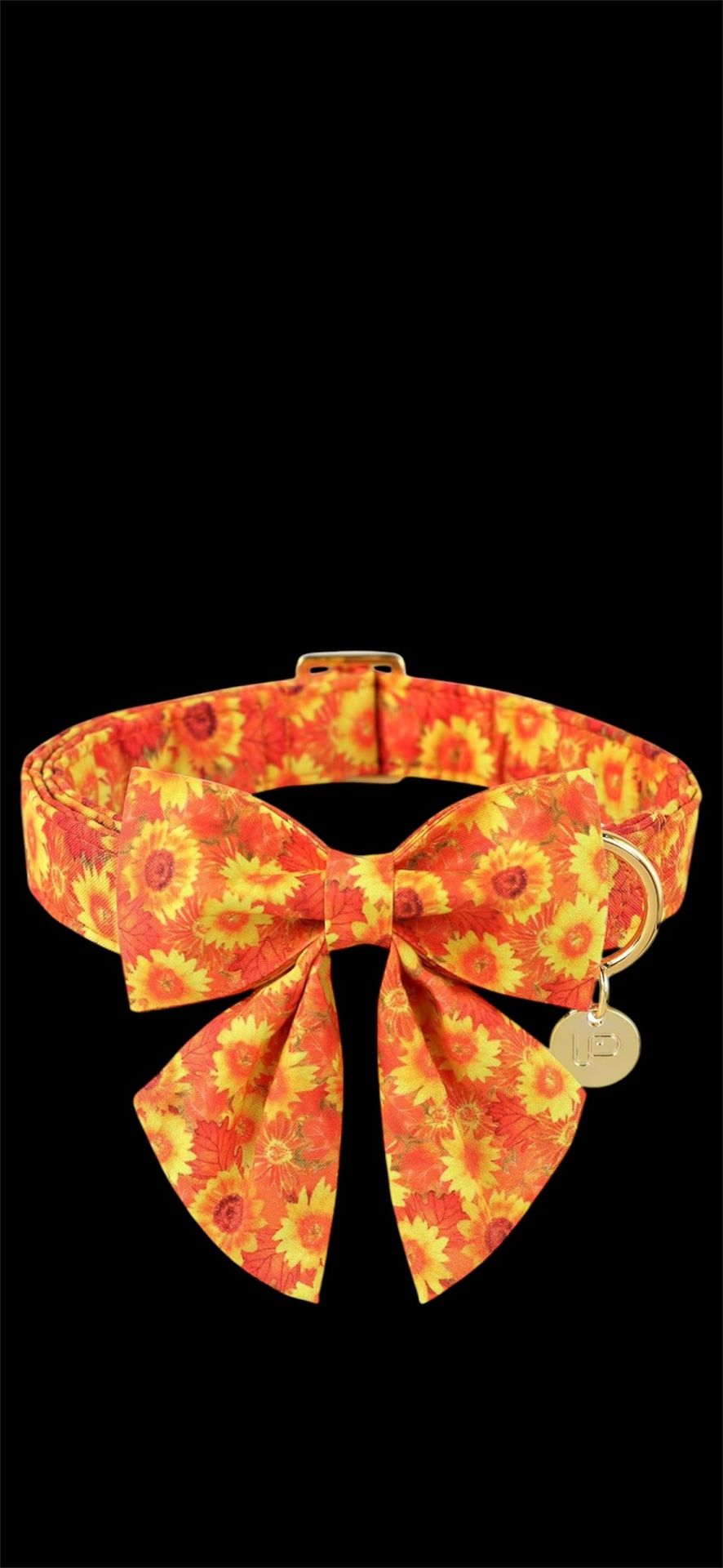 Up Urara Pup Sunflower Bow Dog Collar