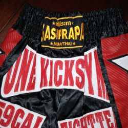 Halloween Costume Boxer