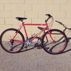 GIANT IGUANA VINTAGE ATB MTN BIKE REFURBISHED OBO 