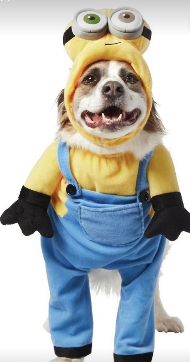 Dog Minion Costumes