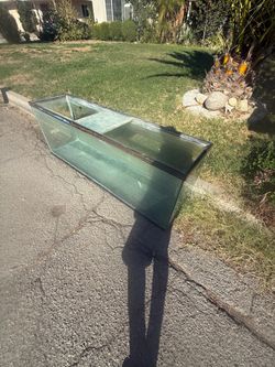 250 gal fish tank FREE