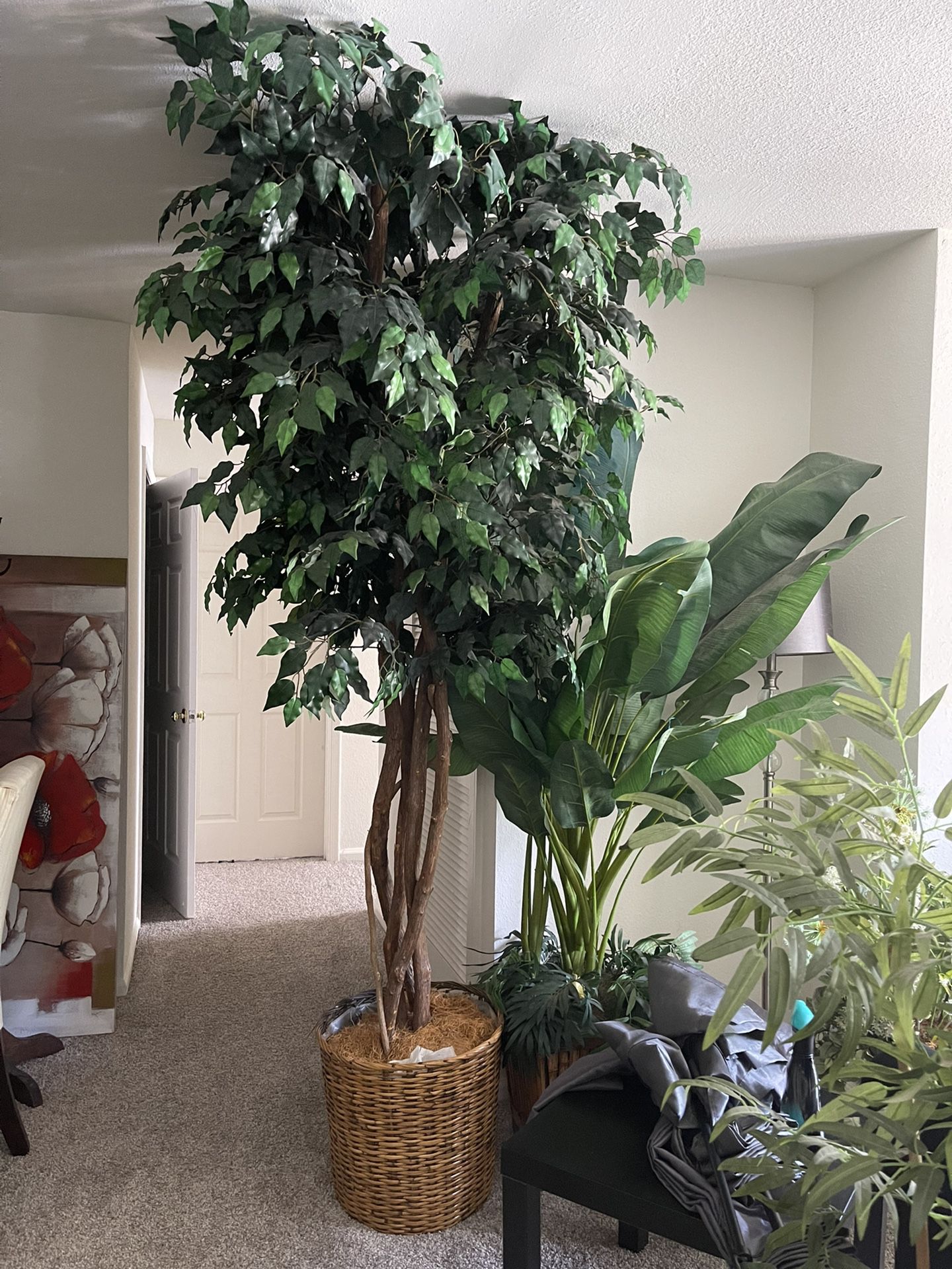 Fake Plant 9 Or 10 Feet Tall 