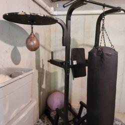 Heavy Bag, Speed Bag, Pull Up & Dips