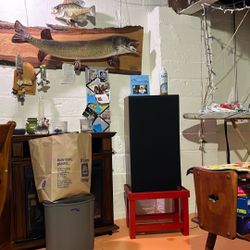 Linear Dynamics Speakers 