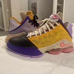 Nike Lebron XIX Low EP Mismatch Basketbal DO9828-500