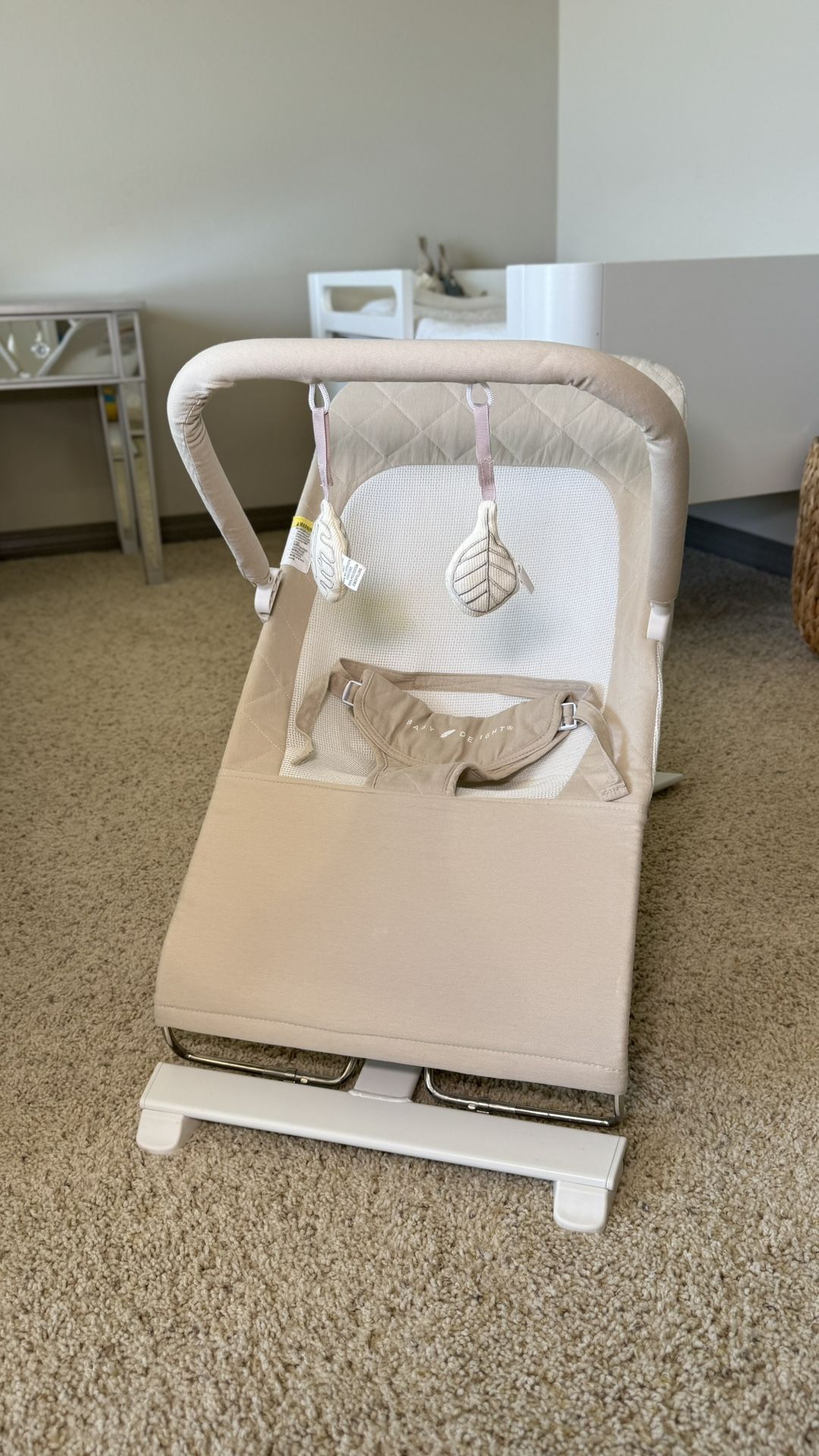 Baby Bouncer Baby Delight / Baby Swing
