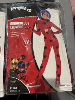 Ladybug Costume