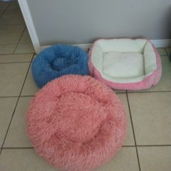 Puppy Beds 3 For Little Pups 30.00 Obo