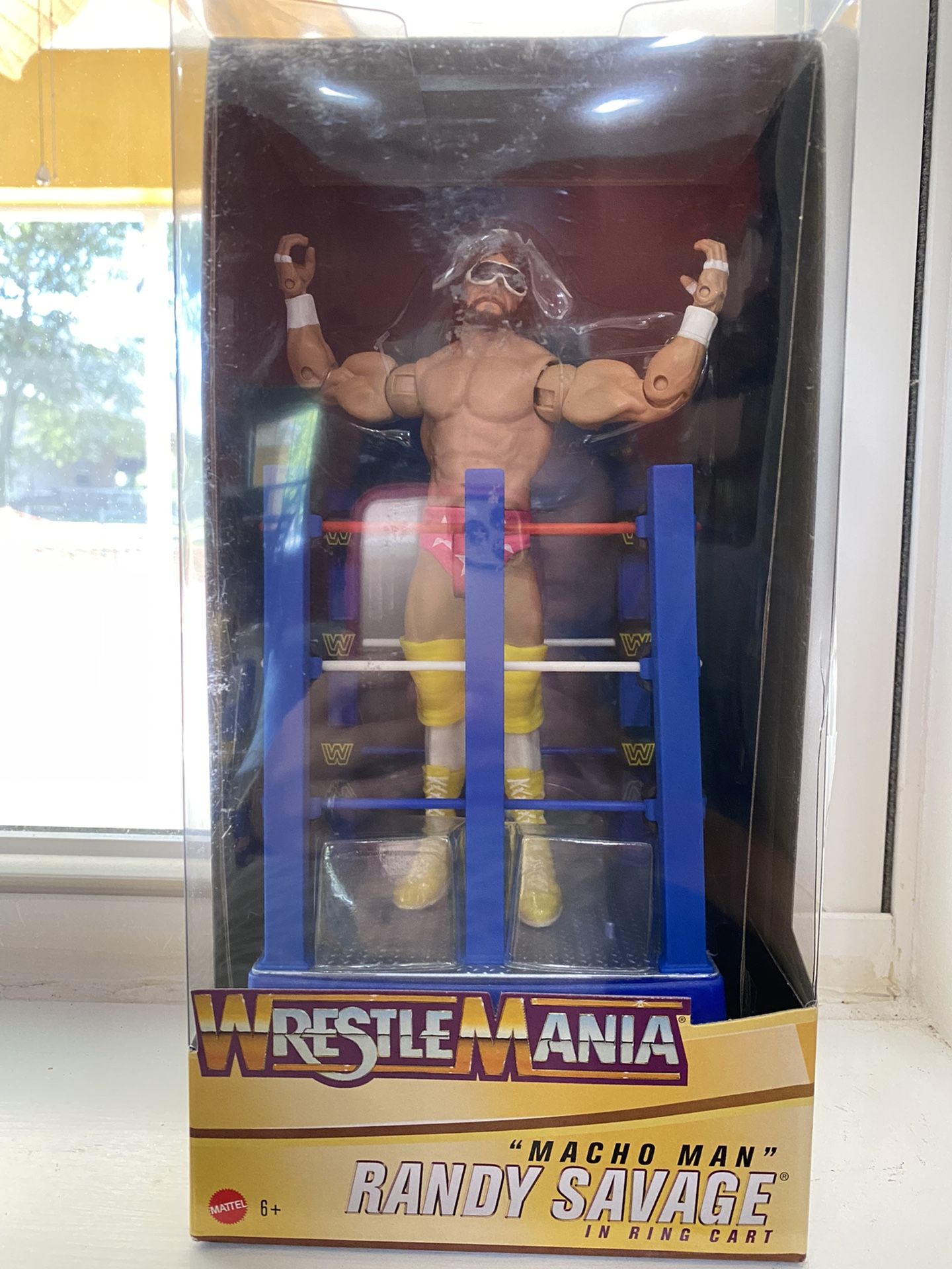 Wrestling Figure