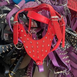 Dog Harness / Collar / Leash