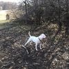 Remington