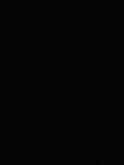 Trips Anywhere in the US/Viajes a Cualquier Parte desde Dallas, TX