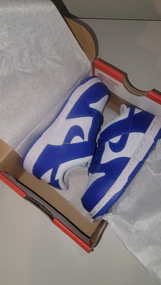 Nike Dunk Toddler