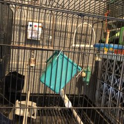Bird Cage W/ Toys
