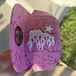 PINK BRAIN FITTED HELLATAR HAT SIZE 7 3/8 