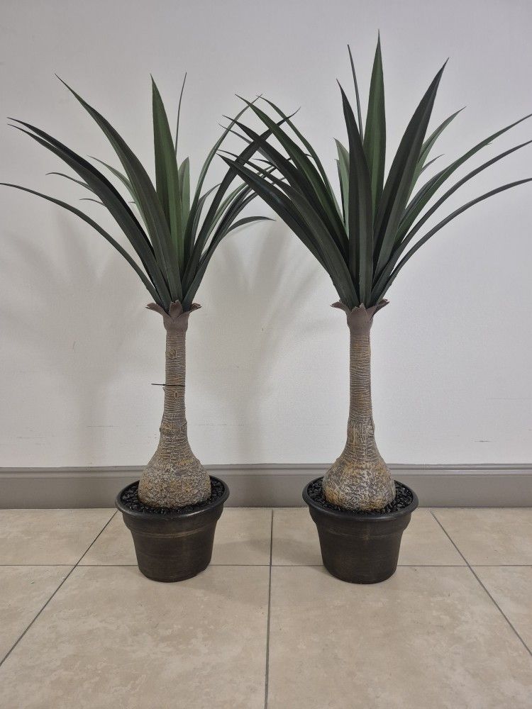 PAIR of Faux Agave Snake Plants Sealed with Obsidean Stone in 11" Resin Planters @ Lasting Creations