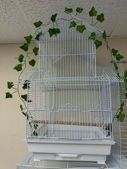 Big Bird Cages