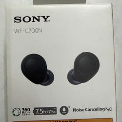 Sony Noise Canceling Truly Wireless Earbuds 