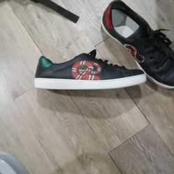 Fly Shoes 