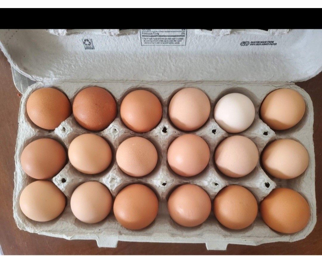 Barstow EGGS