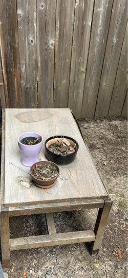Free table and plants
