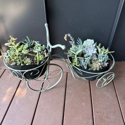 Decorative Bicycle Planter with Succulents