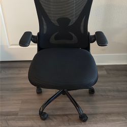 Ergonomic Desk Chair