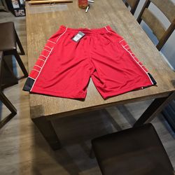 Air Jordan Shorts