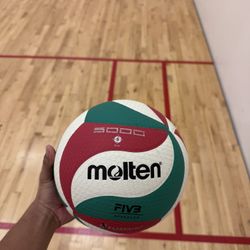 Molten Volleyball