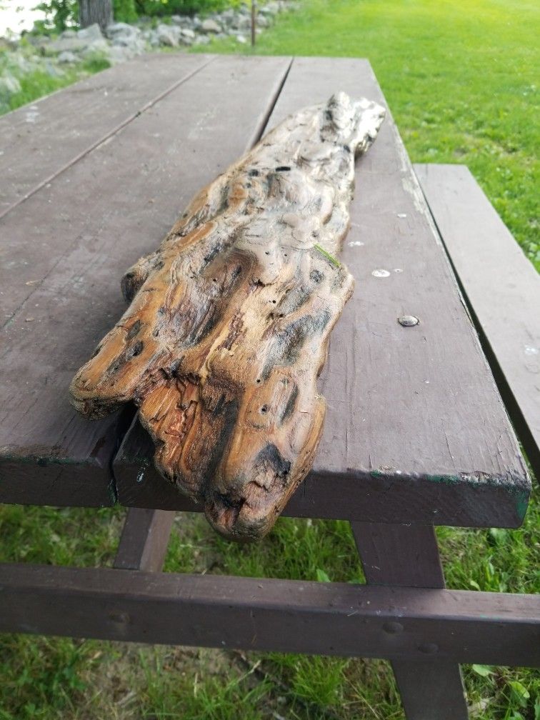 Driftwood 