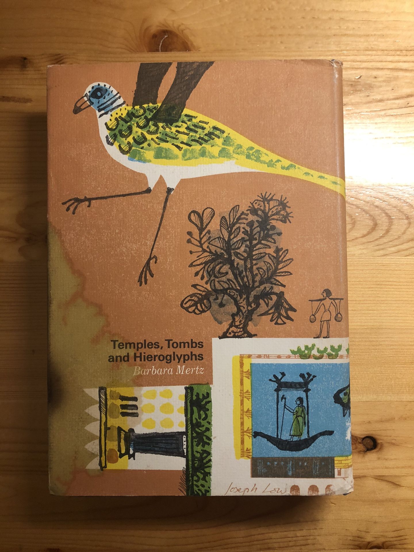 Temples, Tombs, and Hieroglyphs - The Story of Egyptology / Illustrated
